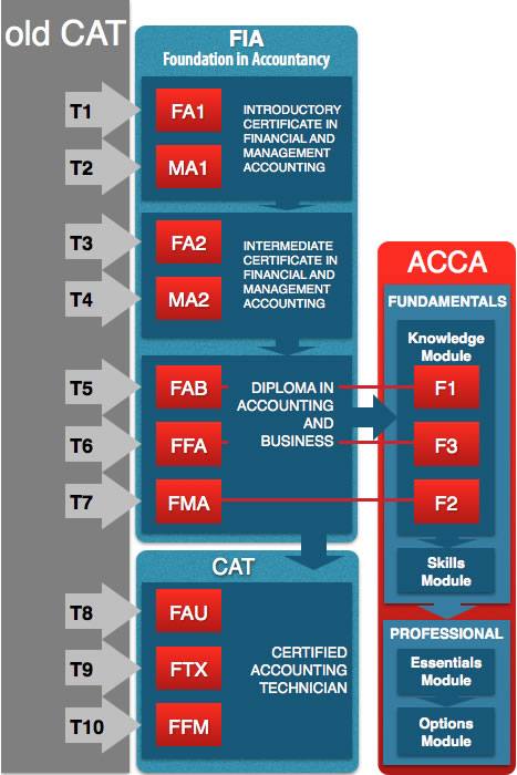 11052518_10202765529098915_547068391903797589_n